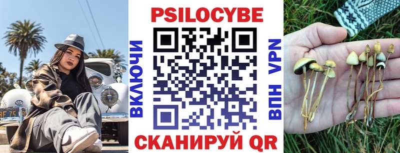 Псилоцибиновые грибы мицелий  Елизово 